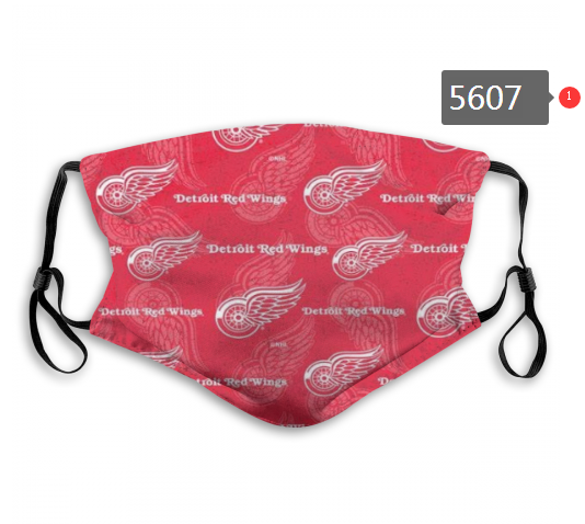 2020 NHL Detroit Red Wings #1 Dust mask with filter-0